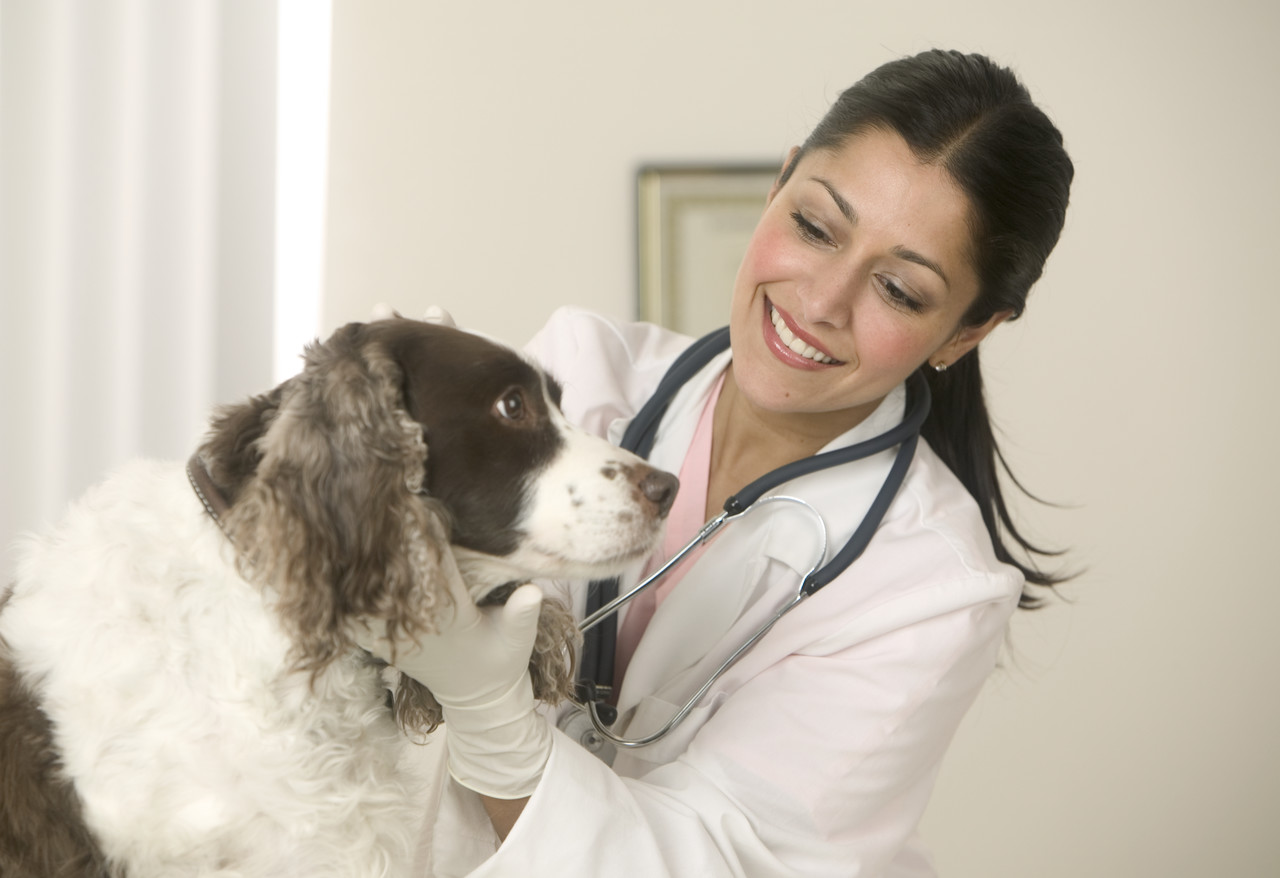 Veterinary physician
