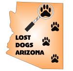 LOST Dogs Arizona