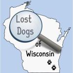 LOST Dogs of Wisc
